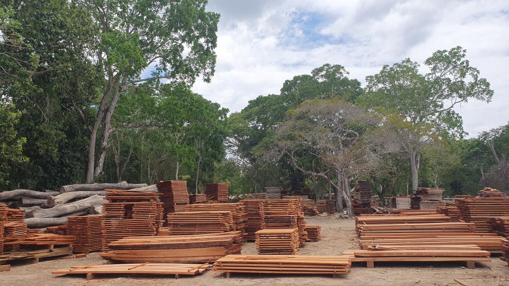 guatemala stapels hout