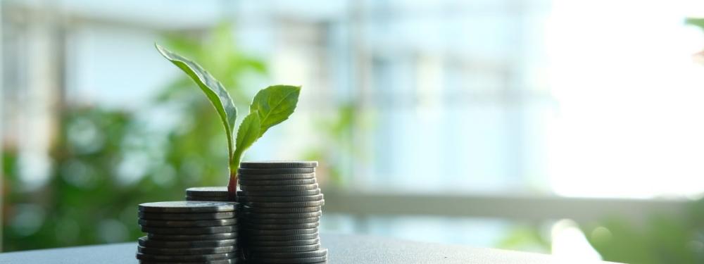 Pensioen_Green Plant Between a Pile of Silver Coins
